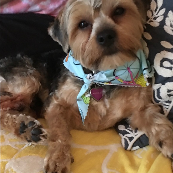 Meet your Posher, Shelli - Picture 11 of 15